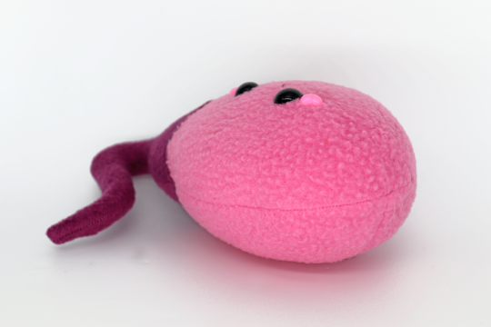 Ovary handmade plushie
