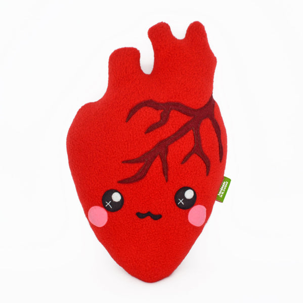 Anatomically correct heart plush toy