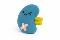 Angry kidney plushie