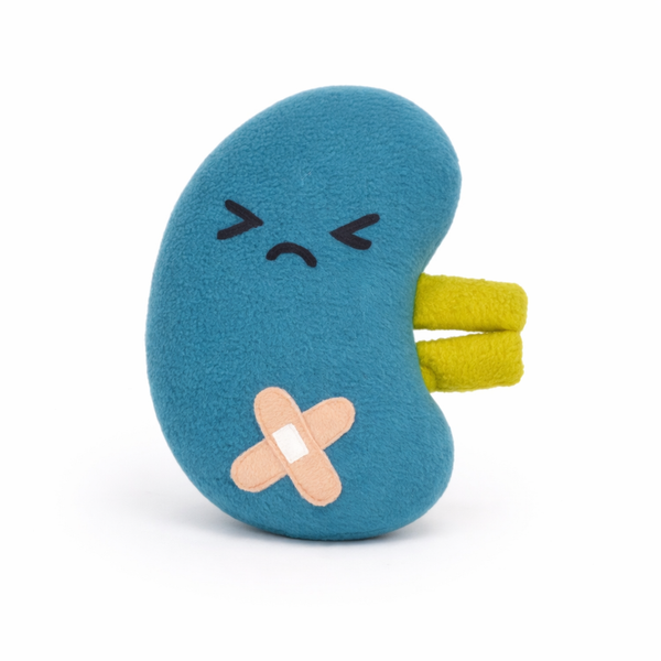 Angry kidney comfort pillow  - get well soon gift!