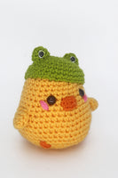 Baby chick in disguise