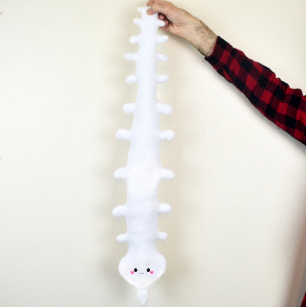 Giant Spine Plushie Backbone pillow soft toy softie kawaii cushion organ bone back