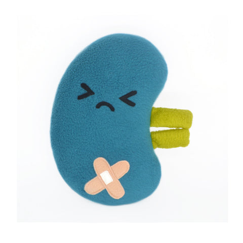 Angry kidney comfort pillow  - get well soon gift!