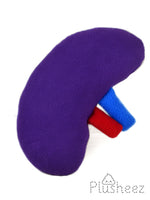 Spleen plush toy /comfort pillow / organ anatomy plushie