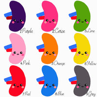 Spleen plush toy /comfort pillow / organ anatomy plushie