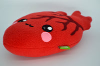 Anatomically correct heart plushie